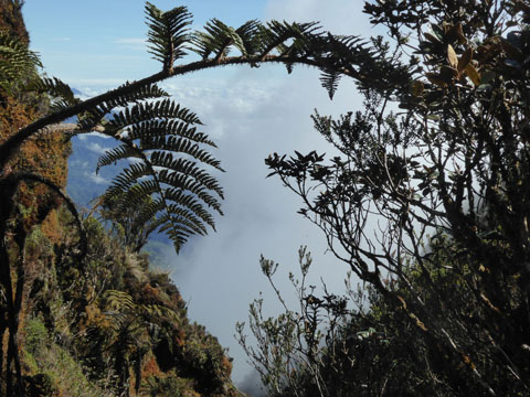 Unterwegs zu den YALI in Westpapua